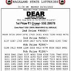 nagaland state lottery result today morning
